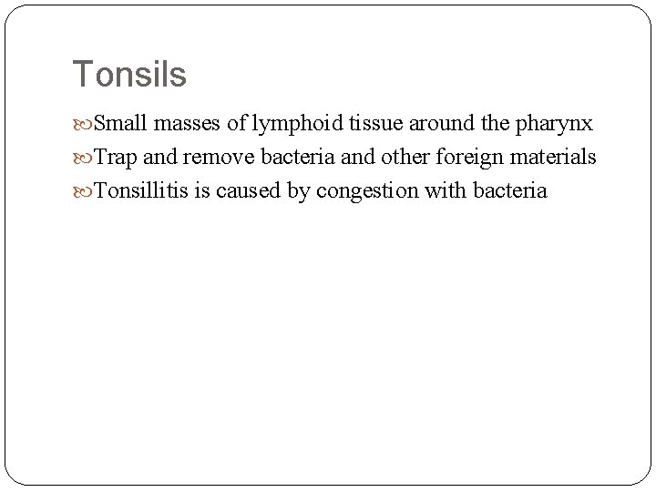 Tonsils Small masses of lymphoid tissue around the pharynx Trap and remove bacteria and Tonsils Small masses of lymphoid tissue around the pharynx Trap and remove bacteria and