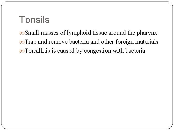 Tonsils Small masses of lymphoid tissue around the pharynx Trap and remove bacteria and