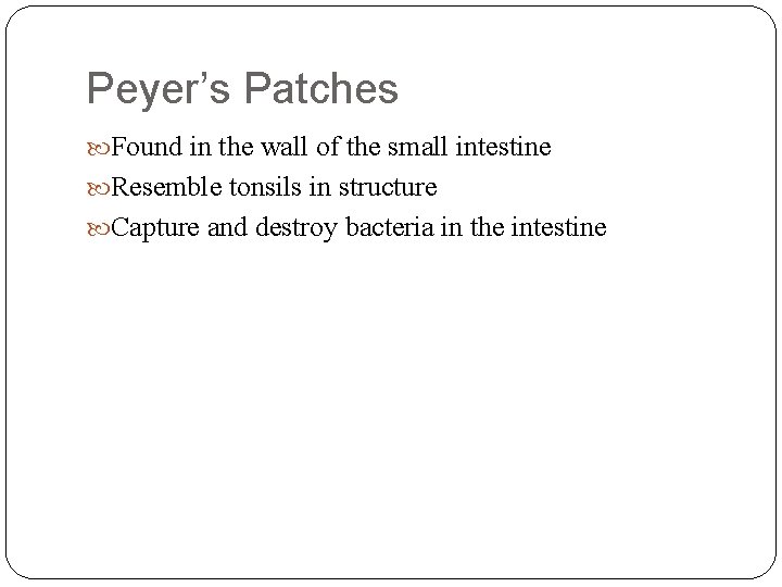 Peyer’s Patches Found in the wall of the small intestine Resemble tonsils in structure Peyer’s Patches Found in the wall of the small intestine Resemble tonsils in structure