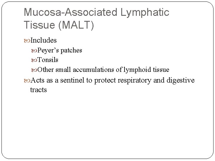 Mucosa-Associated Lymphatic Tissue (MALT) Includes Peyer’s patches Tonsils Other small accumulations of lymphoid tissue Mucosa-Associated Lymphatic Tissue (MALT) Includes Peyer’s patches Tonsils Other small accumulations of lymphoid tissue