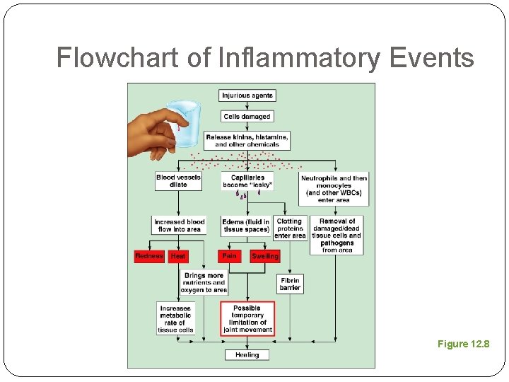 Flowchart of Inflammatory Events Figure 12. 8 