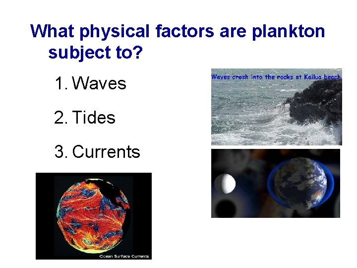 What physical factors are plankton subject to? 1. Waves 2. Tides 3. Currents What physical factors are plankton subject to? 1. Waves 2. Tides 3. Currents