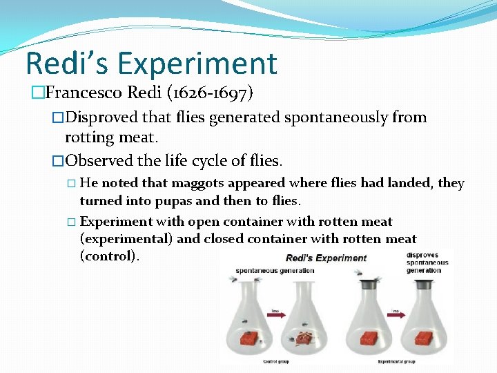 Redi’s Experiment �Francesco Redi (1626 -1697) �Disproved that flies generated spontaneously from rotting meat.