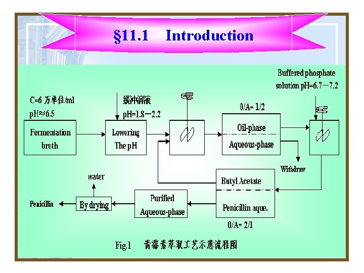 § 11. 1 Introduction § 11. 1 Introduction