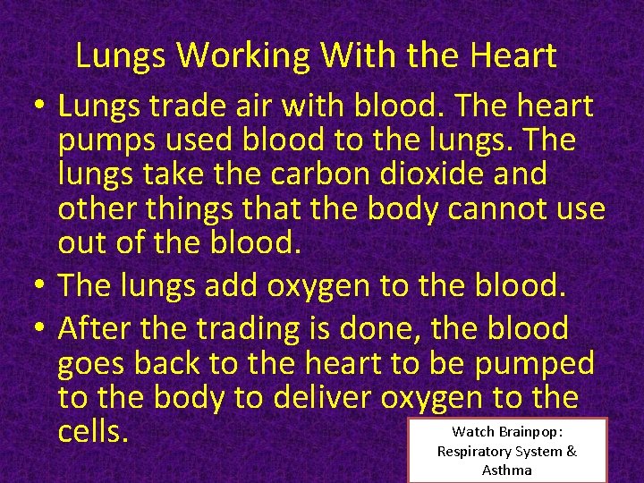 Lungs Working With the Heart • Lungs trade air with blood. The heart pumps