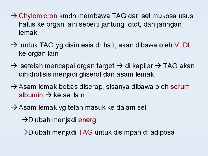  Chylomicron kmdn membawa TAG dari sel mukosa usus halus ke organ lain seperti