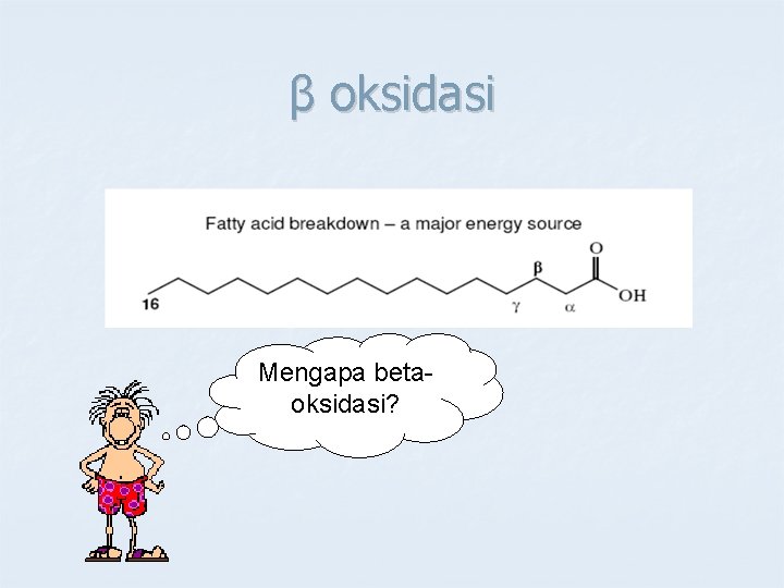 β oksidasi Mengapa betaoksidasi? 