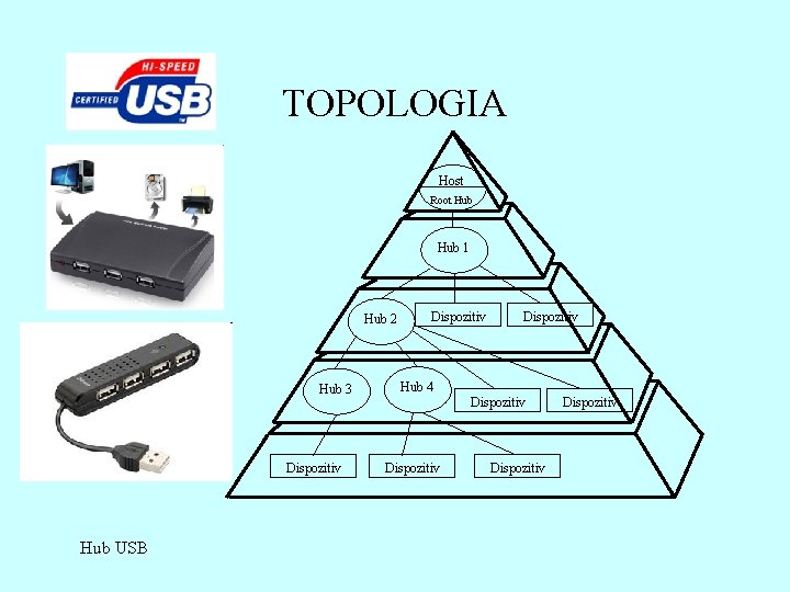 TOPOLOGIA Host Root Hub 1 Hub 2 Hub 3 Dispozitiv Hub USB Dispozitiv Hub TOPOLOGIA Host Root Hub 1 Hub 2 Hub 3 Dispozitiv Hub USB Dispozitiv Hub