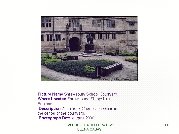 Picture Name Shrewsbury School Courtyard. Where Located Shrewsbury, Shropshire, England. Description A statue of