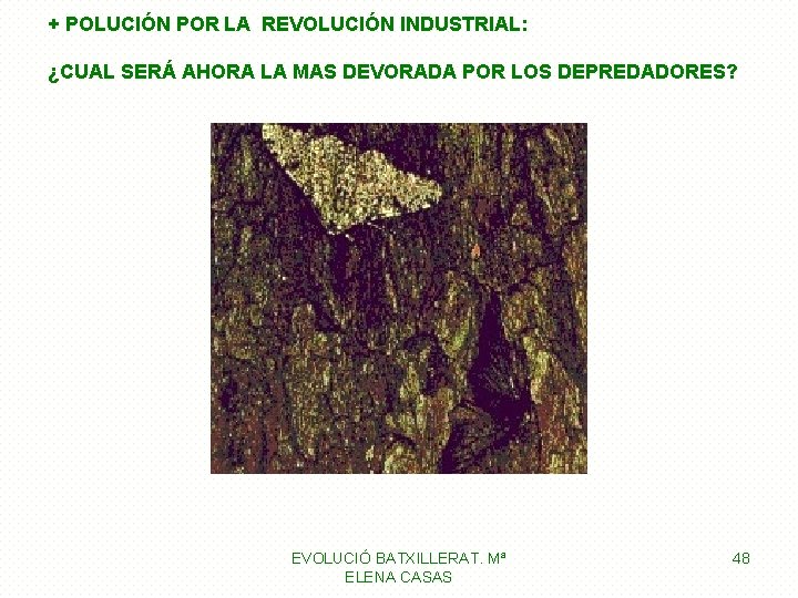 + POLUCIÓN POR LA REVOLUCIÓN INDUSTRIAL: ¿CUAL SERÁ AHORA LA MAS DEVORADA POR LOS