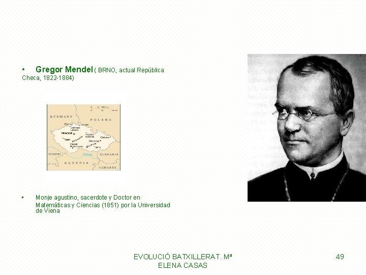  • Gregor Mendel ( BRNO, actual República Checa, 1822 -1884) • Monje agustino,