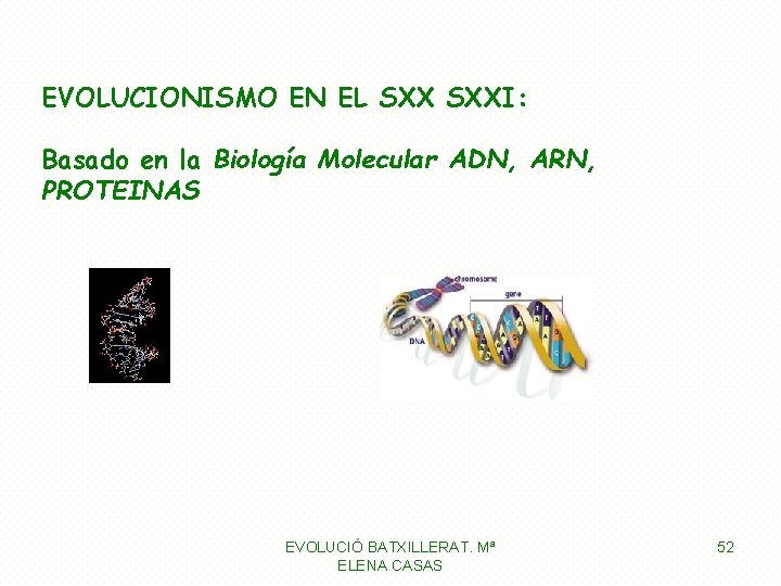 EVOLUCIONISMO EN EL SXXI: Basado en la Biología Molecular ADN, ARN, PROTEINAS EVOLUCIÓ BATXILLERAT.