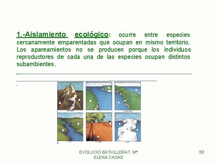 1. -Aislamiento ecológico: ocurre entre especies cercanamente emparentadas que ocupan en mismo territorio. Los