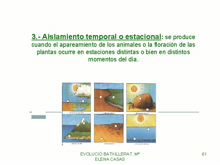 3. - Aislamiento temporal o estacional: se produce cuando el apareamiento de los animales 3. - Aislamiento temporal o estacional: se produce cuando el apareamiento de los animales