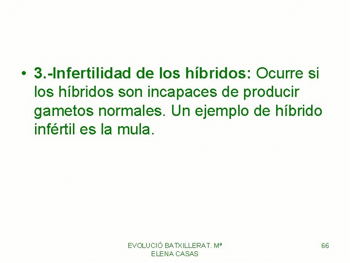 • 3. -Infertilidad de los híbridos: Ocurre si los híbridos son incapaces de • 3. -Infertilidad de los híbridos: Ocurre si los híbridos son incapaces de
