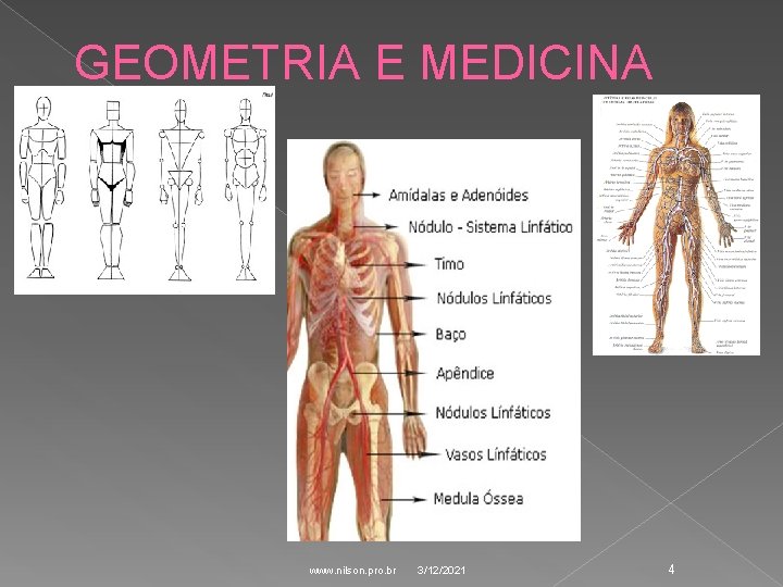 GEOMETRIA E MEDICINA www. nilson. pro. br 3/12/2021 4 