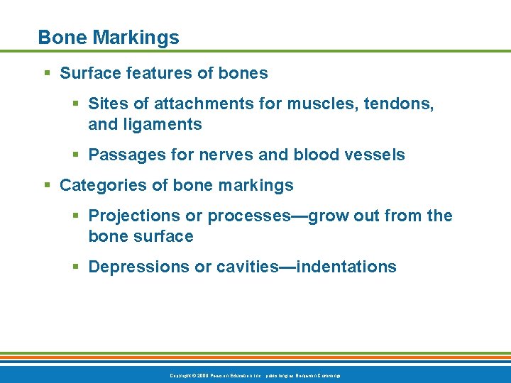 Bone Markings § Surface features of bones § Sites of attachments for muscles, tendons, Bone Markings § Surface features of bones § Sites of attachments for muscles, tendons,