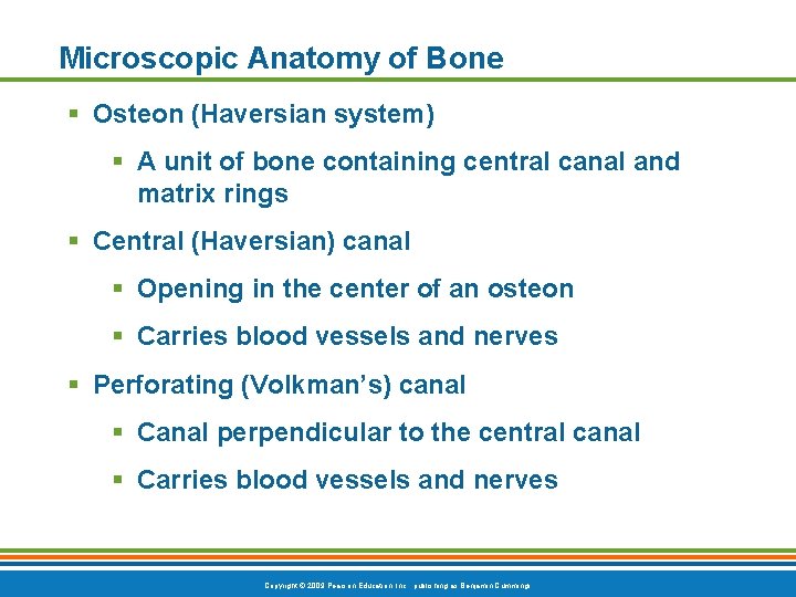 Microscopic Anatomy of Bone § Osteon (Haversian system) § A unit of bone containing Microscopic Anatomy of Bone § Osteon (Haversian system) § A unit of bone containing