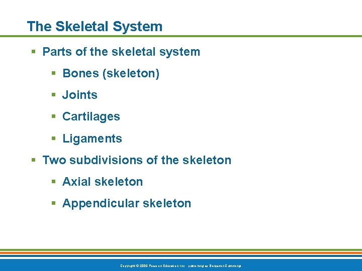 The Skeletal System § Parts of the skeletal system § Bones (skeleton) § Joints The Skeletal System § Parts of the skeletal system § Bones (skeleton) § Joints