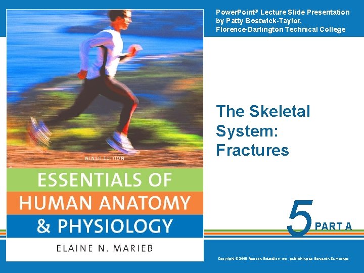 Power. Point® Lecture Slide Presentation by Patty Bostwick-Taylor, Florence-Darlington Technical College The Skeletal System: Power. Point® Lecture Slide Presentation by Patty Bostwick-Taylor, Florence-Darlington Technical College The Skeletal System: