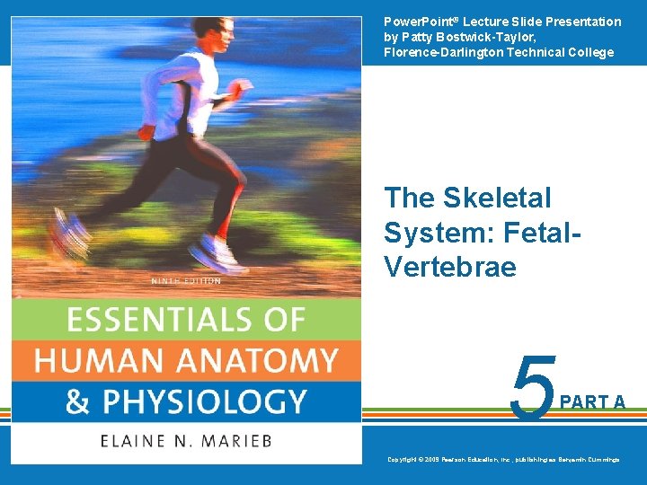 Power. Point® Lecture Slide Presentation by Patty Bostwick-Taylor, Florence-Darlington Technical College The Skeletal System: Power. Point® Lecture Slide Presentation by Patty Bostwick-Taylor, Florence-Darlington Technical College The Skeletal System: