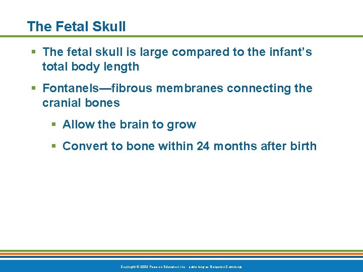 The Fetal Skull § The fetal skull is large compared to the infant’s total The Fetal Skull § The fetal skull is large compared to the infant’s total