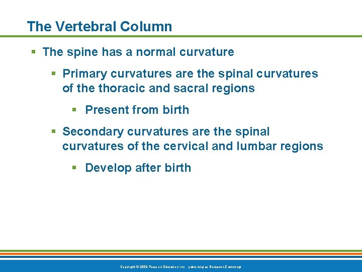 The Vertebral Column § The spine has a normal curvature § Primary curvatures are The Vertebral Column § The spine has a normal curvature § Primary curvatures are