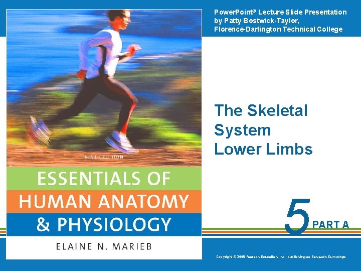 Power. Point® Lecture Slide Presentation by Patty Bostwick-Taylor, Florence-Darlington Technical College The Skeletal System Power. Point® Lecture Slide Presentation by Patty Bostwick-Taylor, Florence-Darlington Technical College The Skeletal System