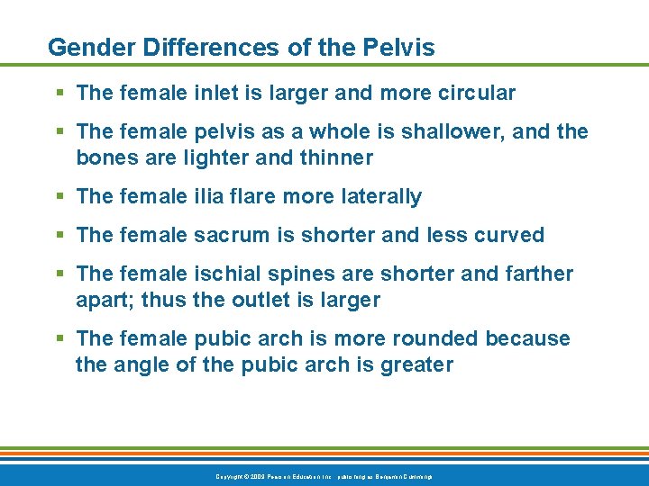 Gender Differences of the Pelvis § The female inlet is larger and more circular Gender Differences of the Pelvis § The female inlet is larger and more circular