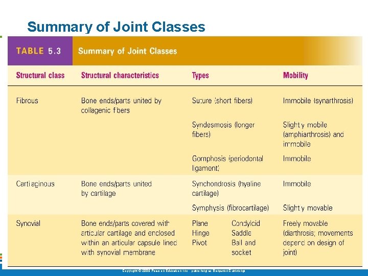 Summary of Joint Classes [Insert Table 5. 3 here] Table 5. 3 Copyright ©