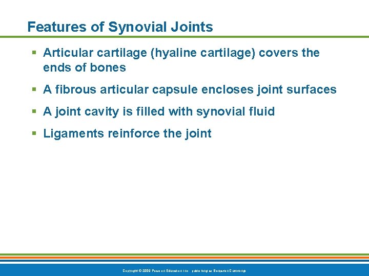 Features of Synovial Joints § Articular cartilage (hyaline cartilage) covers the ends of bones Features of Synovial Joints § Articular cartilage (hyaline cartilage) covers the ends of bones