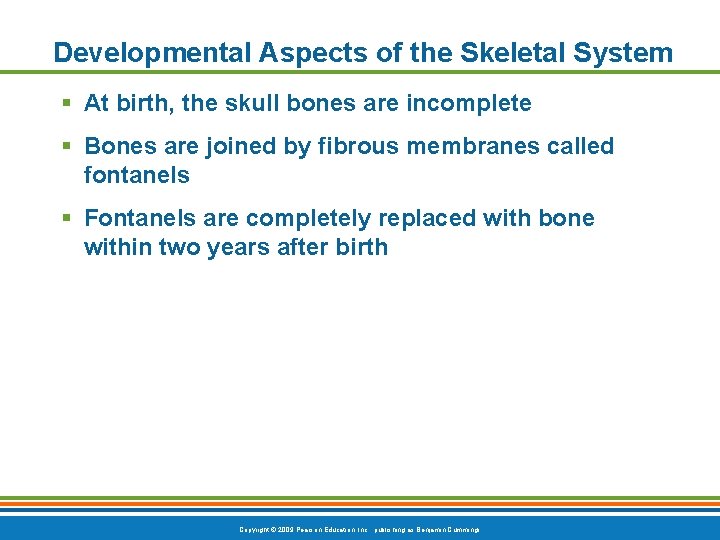 Developmental Aspects of the Skeletal System § At birth, the skull bones are incomplete Developmental Aspects of the Skeletal System § At birth, the skull bones are incomplete