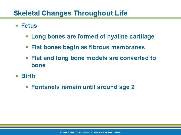 Skeletal Changes Throughout Life § Fetus § Long bones are formed of hyaline cartilage Skeletal Changes Throughout Life § Fetus § Long bones are formed of hyaline cartilage