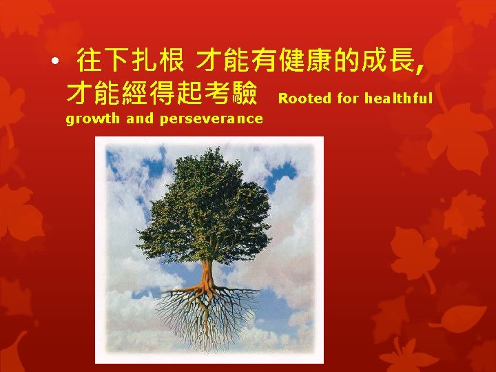  • 往下扎根 才能有健康的成長, 才能經得起考驗 Rooted for healthful growth and perseverance 