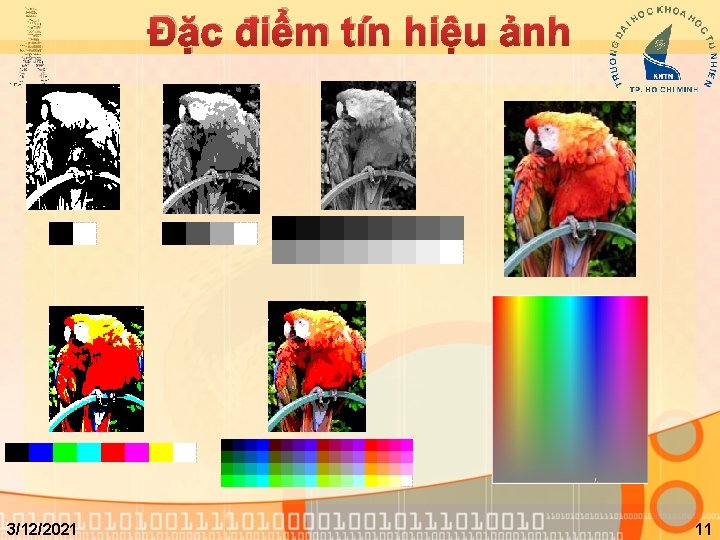 Đặc điểm tín hiệu ảnh 3/12/2021 11 