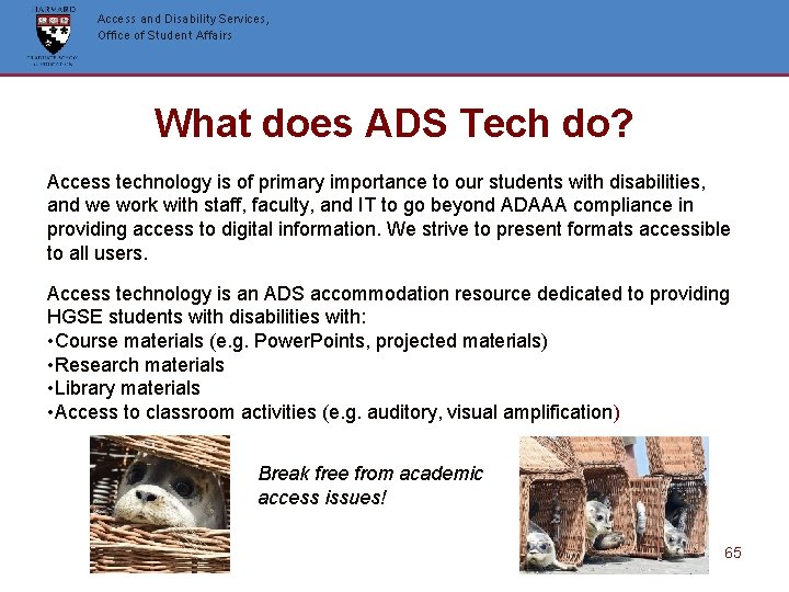Access and Disability Services, Office of Student Affairs What does ADS Tech do? Access Access and Disability Services, Office of Student Affairs What does ADS Tech do? Access