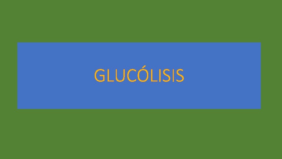 GLUCÓLISIS 