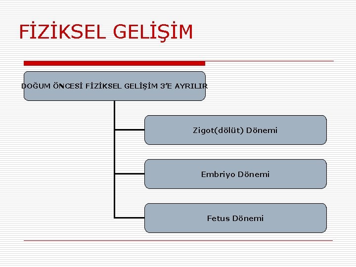 FİZİKSEL GELİŞİM DOĞUM ÖNCESİ FİZİKSEL GELİŞİM 3’E AYRILIR Zigot(dölüt) Dönemi Embriyo Dönemi Fetus Dönemi