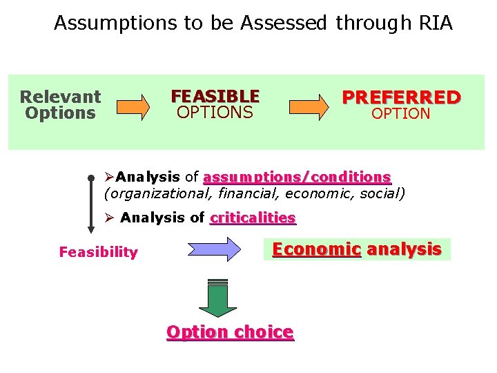 Assumptions to be Assessed through RIA FEASIBLE OPTIONS Relevant Options PREFERRED OPTION ØAnalysis of Assumptions to be Assessed through RIA FEASIBLE OPTIONS Relevant Options PREFERRED OPTION ØAnalysis of