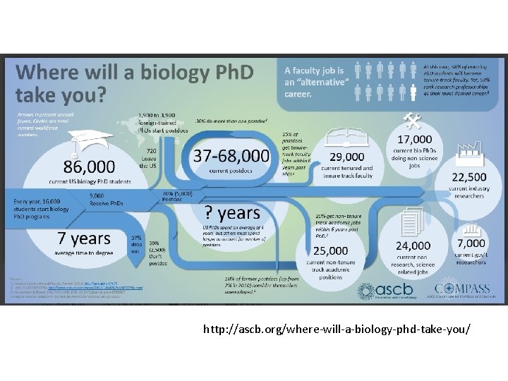 http: //ascb. org/where-will-a-biology-phd-take-you/ 