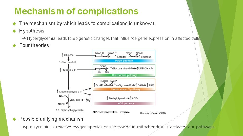 Mechanism of complications The mechanism by which leads to complications is unknown. Hypothesis Hyperglycemia