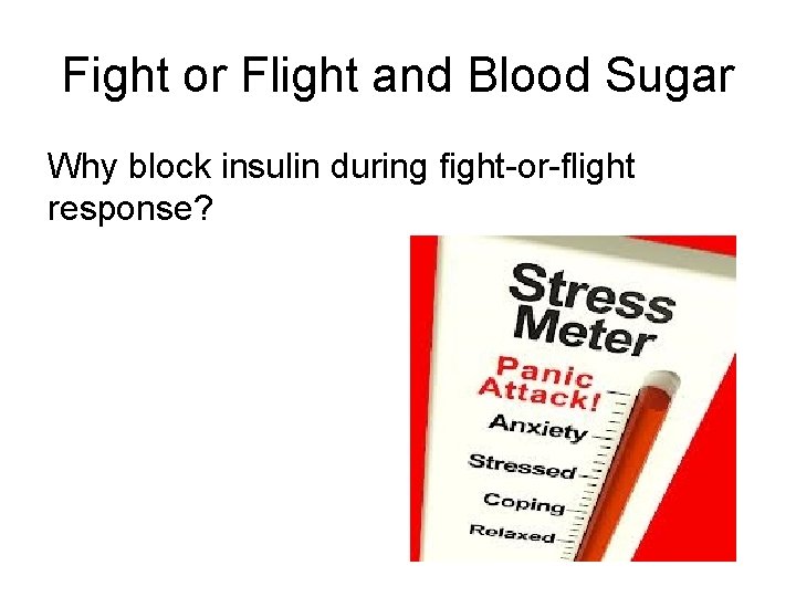 Fight or Flight and Blood Sugar Why block insulin during fight-or-flight response? 