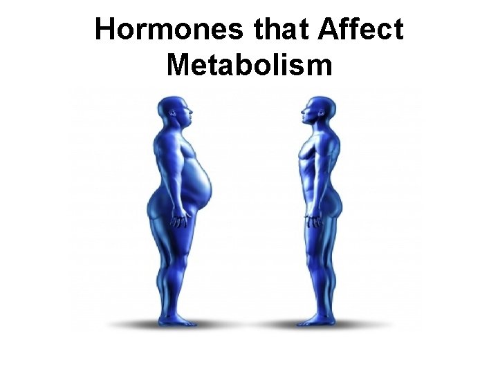 Hormones that Affect Metabolism 