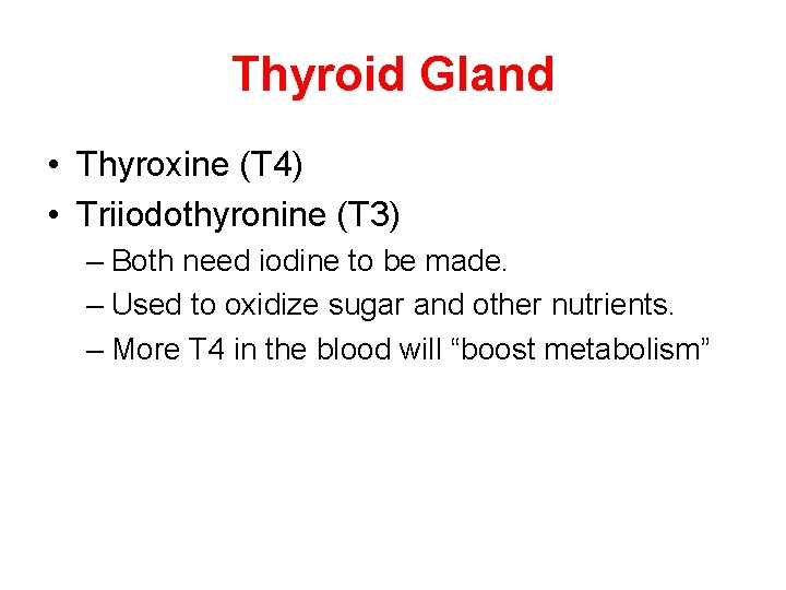 Thyroid Gland • Thyroxine (T 4) • Triiodothyronine (T 3) – Both need iodine