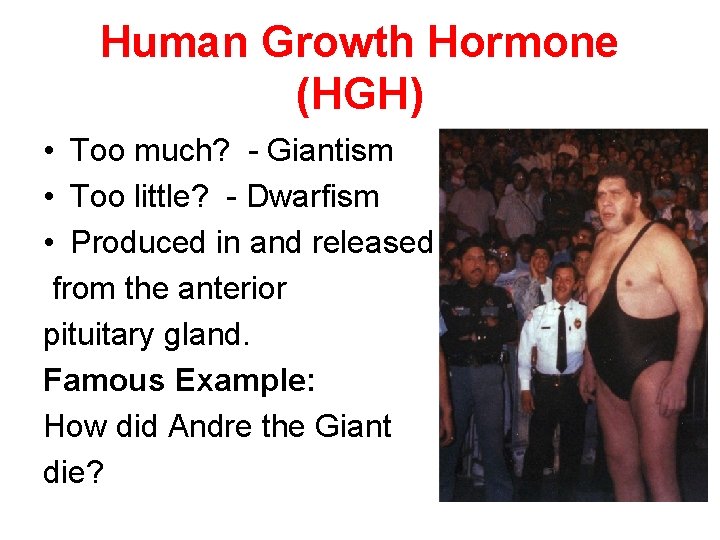 Human Growth Hormone (HGH) • Too much? - Giantism • Too little? - Dwarfism