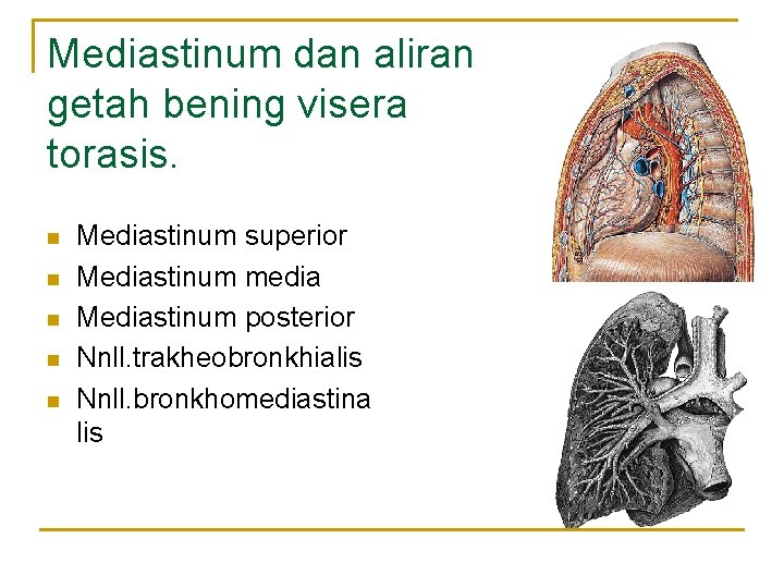 Mediastinum dan aliran getah bening visera torasis. n n n Mediastinum superior Mediastinum media Mediastinum dan aliran getah bening visera torasis. n n n Mediastinum superior Mediastinum media