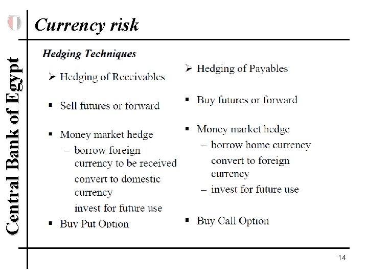 Central Bank of Egypt Currency risk 14 