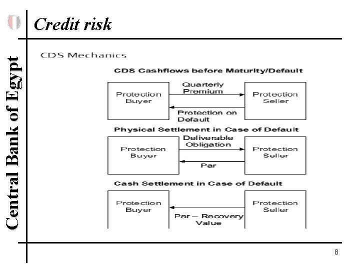 Central Bank of Egypt Credit risk 8 