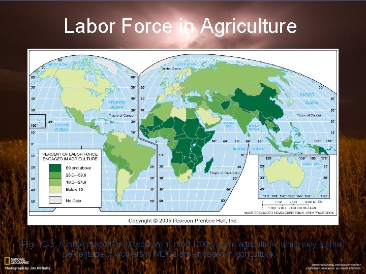 Labor Force in Agriculture Fig. 10 -3: A large proportion of workers in most