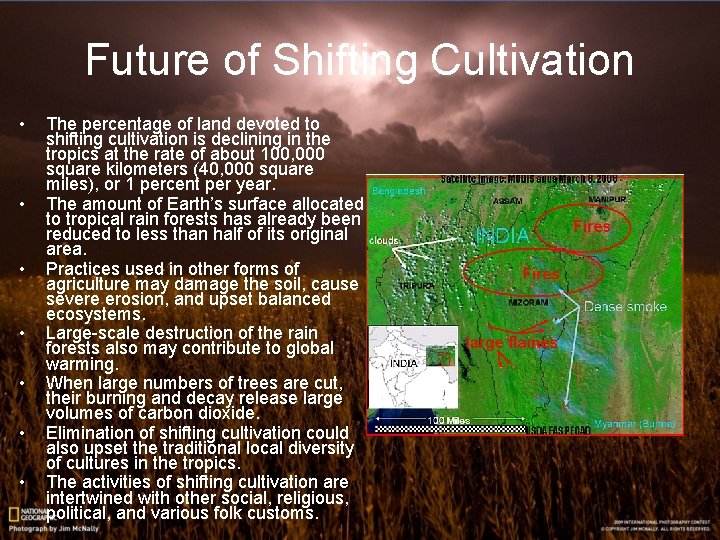 Future of Shifting Cultivation • • The percentage of land devoted to shifting cultivation